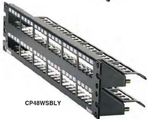 Panduit DPFP2WH - Standard Density with Integral Support - 4