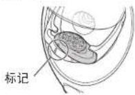 PANASONIC EH-TSA3F - 在香薰片槽中放入香薰片。 - 2