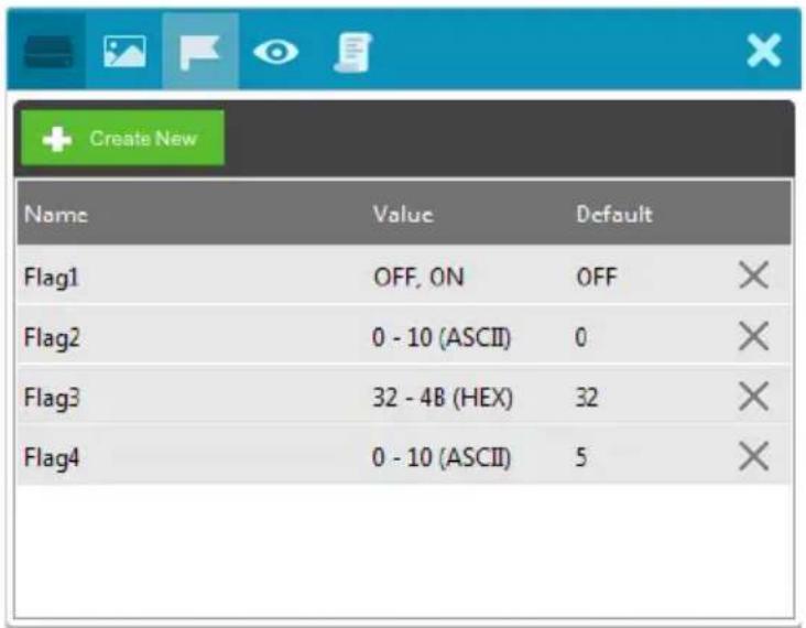 Create New Name Value Default Flag1 OFF, ON OFF Flag2 0 - 10 (ASCII) 0 Flag3 32 - 4B (HEX) 32 Flag4 0 - 10 (ASCII) 5