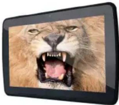 NEVIR NVR-TAB101 S2 (8GB) - OTG & USB - 1