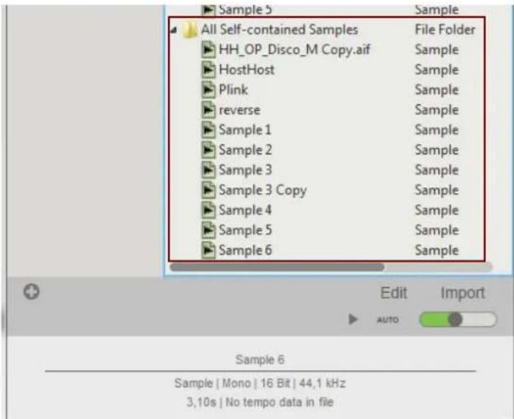 Sample 5 All Self-contained Samples HH_OP_Disco_M Copy.aif HostHost Plink reverse Sample 1 Sample 2 Sample 3 Sample 3 Copy Sample 4 Sample 5 Sample 6 File Folder Sample Sample Sample Sample Sample Sample Sample Sample Sample Sample Sample Sample Sample Edit Import AUTO Sample 6 Sample | Mono | 16 Bit | 44,1 kHz 3,10s | No tempo data in file