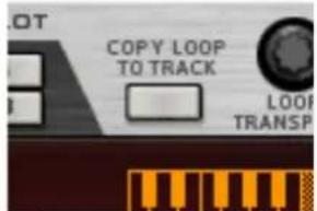 LOT COPY LOOP TO TRACK LOOP TRANSP