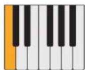 PROPELLERHEAD Reason Lite 10.2 - Pattern - 25