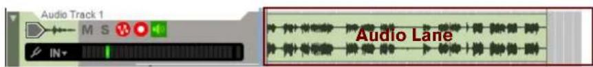 Audio Track 1 M S IN Audio Lane