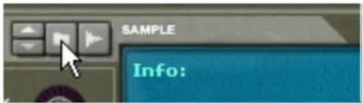 SAMPLE Info: