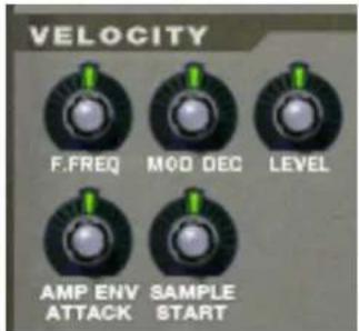 VELOCITY F.FREQ MOD DEC LEVEL AMP ENV ATTACK SAMPLE START