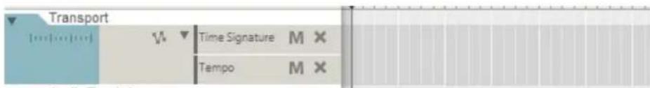 Transport Time Signature M × Tempo M ×
