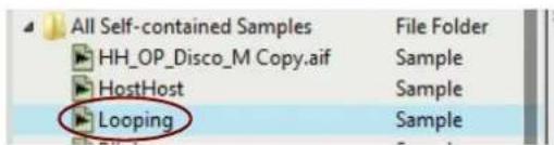 All Self-contained Samples HH_OP_Disco_M Copy.aif HostHost Looping File Folder Sample Sample Sample