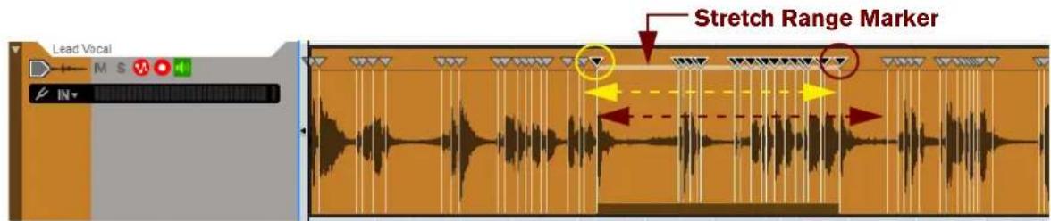 Lead Vocal M S 10 IN Stretch Range Marker