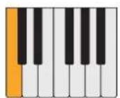PROPELLERHEAD Reason Lite 10.2 - Pattern - 44