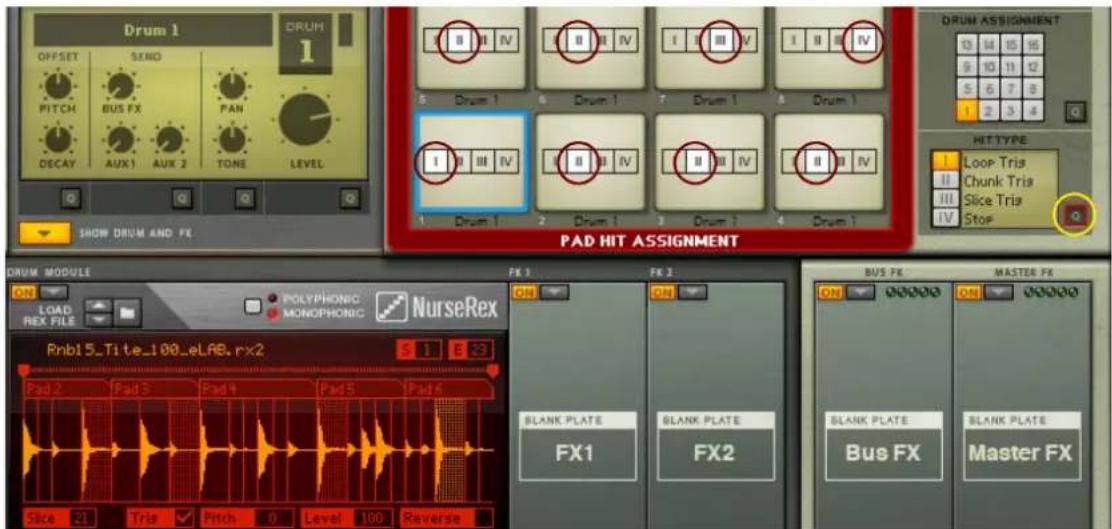 Drum 1 DRUM OFFSET SEND PITCH BUS FX PAN DECAY AUX 1 AUX 2 TONE LEVEL SHOW DRUM AND FE PAD HIT ASSIGNMENT DRUM MODULE ON LOAD REX FILE POLYPHONIC MONOPHONIC NurseRex Rnb15_Tite_100_eLAB.rx2 Pad 2 Pad 3 Pad 4 Pad 5 Pad 6 3x 21 Trip ✓ Pitch 0 Level 100 Reverse FRK 1 FK 2 ON Blank PLATE FX1 FX2 BUS FX Master FX ON ON ON ON Blank PLATE Bus FX Master FX