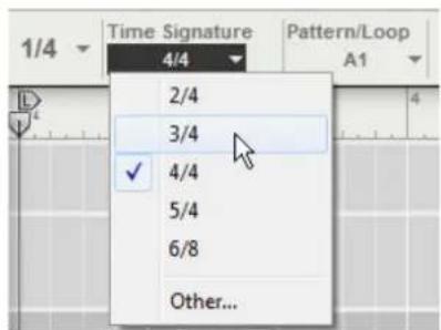 Time Signature 4/4 2/4 3/4 ✓ 4/4 5/4 6/8 Other...