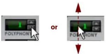 1 POLYPHONY or 1 POLYPHONY