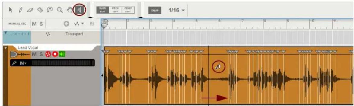 MANUAL REC M S Transport Lead Vocal M S W IN