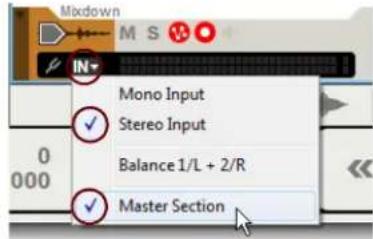 Mixdown IN Mono Input Stereo Input Balance 1/L + 2/R Master Section