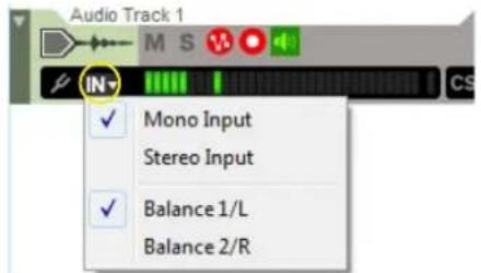 Audio Track 1 IN Mono Input Stereo Input Balance 1/L Balance 2/R