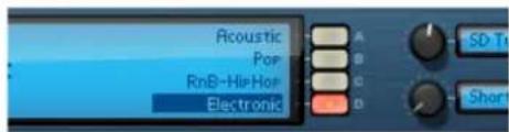Acoustic Pop RnB-Hip Hop Electronic SD Tr Short
