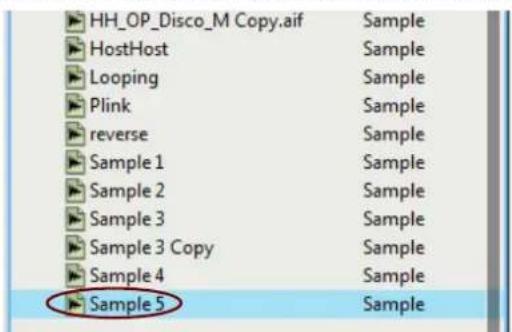 HH_OP_Disco_M Copy.aif Sample HostHost Sample Looping Sample Plink Sample reverse Sample Sample 1 Sample Sample 2 Sample Sample 3 Sample Sample 3 Copy Sample Sample 4 Sample Sample 5 Sample
