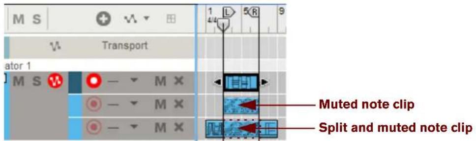 M S Transport ator 1 M S M X M X M X M X M L 5 R 9 Muted note clip Split and muted note clip