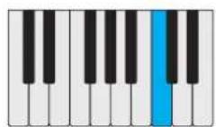 PROPELLERHEAD Reason Lite 10.2 - Pattern - 46