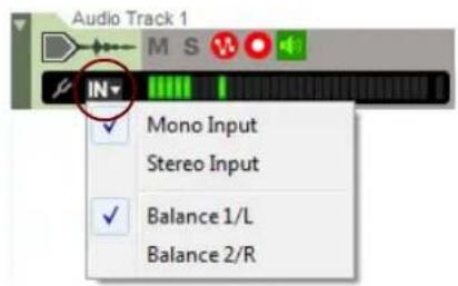 Audio Track 1 M S IN Mono Input Stereo Input Balance 1/L Balance 2/R