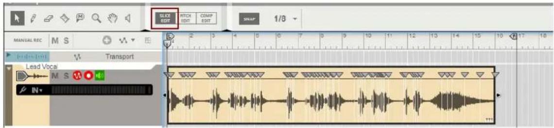 SLXX EDIT MATCH EDIT COMP EDIT MANUAL REC M S Transport Lead Vocal IN