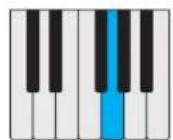 PROPELLERHEAD Reason Lite 10.2 - Pattern - 18