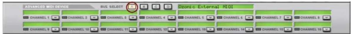 ADVANCED MIDI DEVICE BUS SELECT B C D Ozonic External MIDI CHANNEL 1 CHANNEL 2 CHANNEL 3 CHANNEL 4 CHANNEL 5 CHANNEL 6 CHANNEL 7 CHANNEL 8 CHANNEL 9 CHANNEL 10 CHANNEL 11 CHANNEL 12 CHANNEL 13 CHANNEL 14 CHANNEL 15 CHANNEL 16