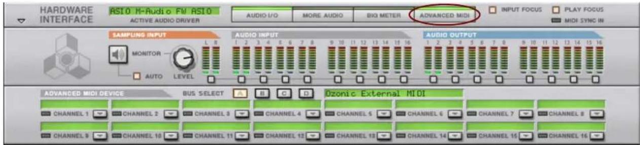 HARDWARE INTERFACE RS10 M-Audio FM RS10 ACTIVE AUDIO DRIVER AUDIO I/O MORE AUDIO BIG METER ADVANCED MIDI INPUT FOCUS PLAY FOCUS MIDI SYNC IN SAMPLING INPUT MONITOR AUTO LEVEL AUDIO INPUT AUDIO OUTPUT 1 2 3 4 5 6 7 8 9 10 11 12 13 14 15 16 1 2 3 4 5 6 7 8 9 10 11 12 13 14 15 16 ADVANCED MIDI DEVICE BUS SELECT B C D Ozonic External MIDI CHANNEL 1 CHANNEL 2 CHANNEL 3 CHANNEL 4 CHANNEL 5 CHANNEL 6 CHANNEL 7 CHANNEL 8 CHANNEL 9 CHANNEL 10 CHANNEL 11 CHANNEL 12 CHANNEL 13 CHANNEL 14 CHANNEL 15 CHANNEL 16