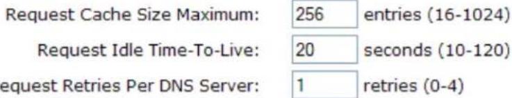 Request Cache Size Maximum: 256 entries (16-1024) Request Idle Time-To-Live: 20 seconds (10-120) request Retries Per DNS Server: 1 retries (0-4)