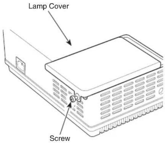Lamp Cover Screw