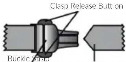 Clasp Release Butt on Buckle Strap
