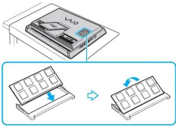 VAVIO
