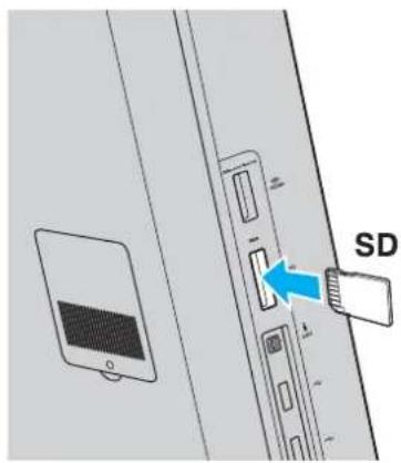 SD