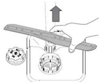 BAUKNECHT BSFO 3O23 PF - PULIZIA DEI BRACCI ASPERSORI - 2