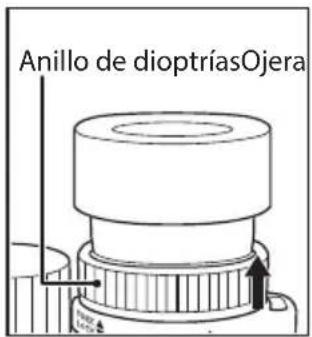 NIKON Monarch HG 10x30 - Dioptrías y mecanismo de bloqueo de dioptrías - 2