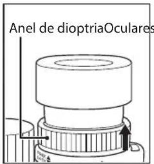 NIKON Monarch HG 10x30 - Dioptria e mecanismo de trava de dioptria - 2