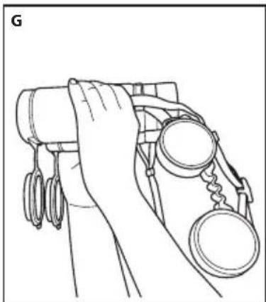 NIKON Monarch HG 8x30 - Eyepiece cap - 1
