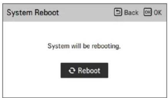 LG HM091MRS - System-Neustart - 2