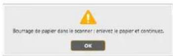 Bourrage de papier dans le scanner : enlevez le papier et continues. OK
