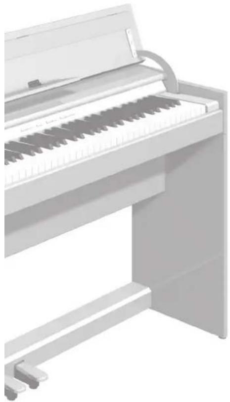 ROLAND DP90e - 调整您的鋼琴 - 1