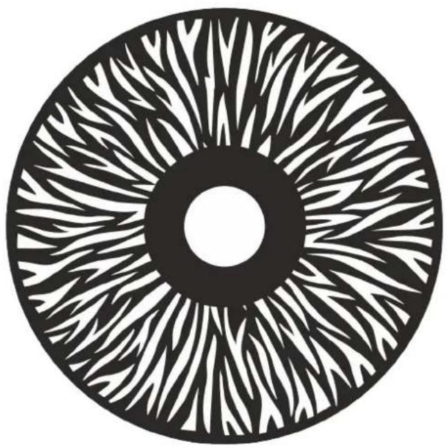 INFINITY Furion S402 Spot - Roue d'animation - 1