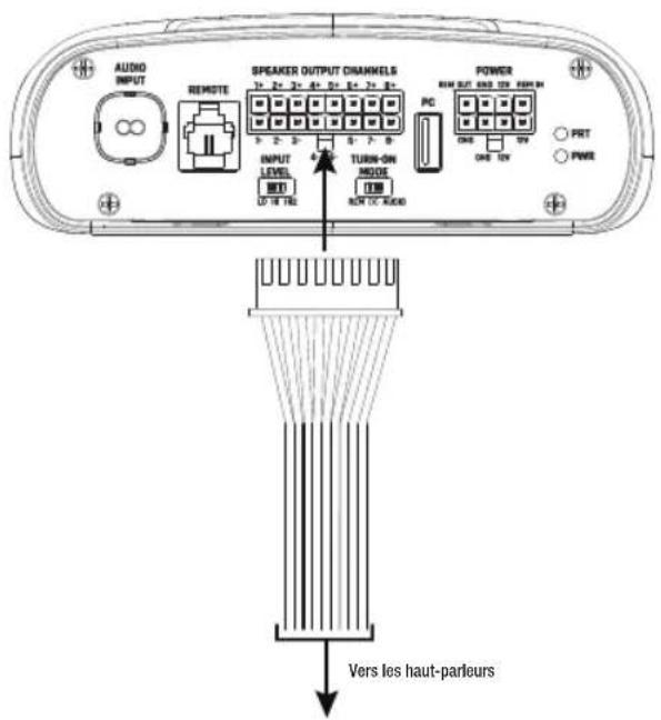 INFINITY DSP6840 - Connexions des sorties de haut-parleurs - 1