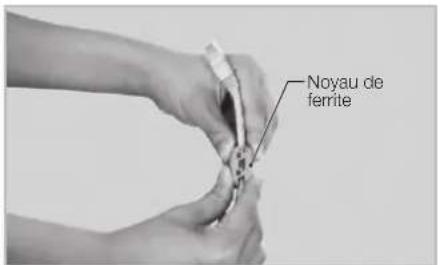 Vixen SXP2 - Noyau de ferrite - 1