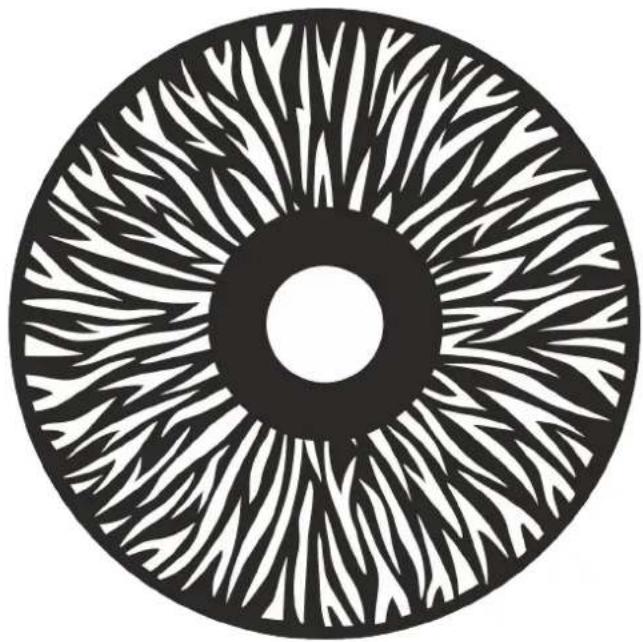 INFINITY Furion P402 Profile - Roue d'animation - 1