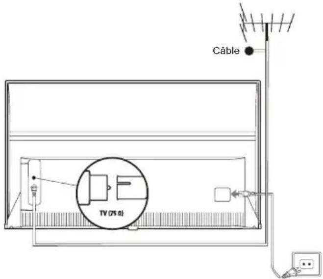 TCL 75C79K - Branchez l'alimentation et l'antenne - 1