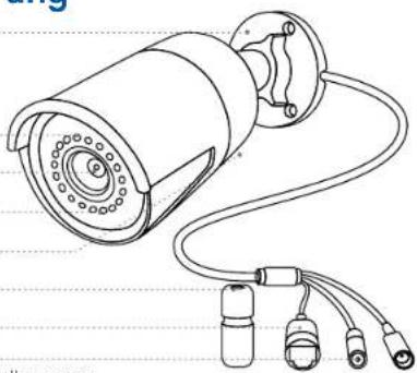 REOLINK P430 - Allgemeine Einführung - 1
