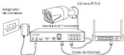 REOLINK P430 - Diagrama de Conexión - 1