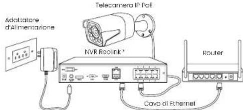 REOLINK P430 - Diagramma di Collegamento - 1