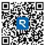 REOLINK P430 - Diagramma di Collegamento - 2